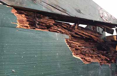 Photo of a wood beam with a rotting area